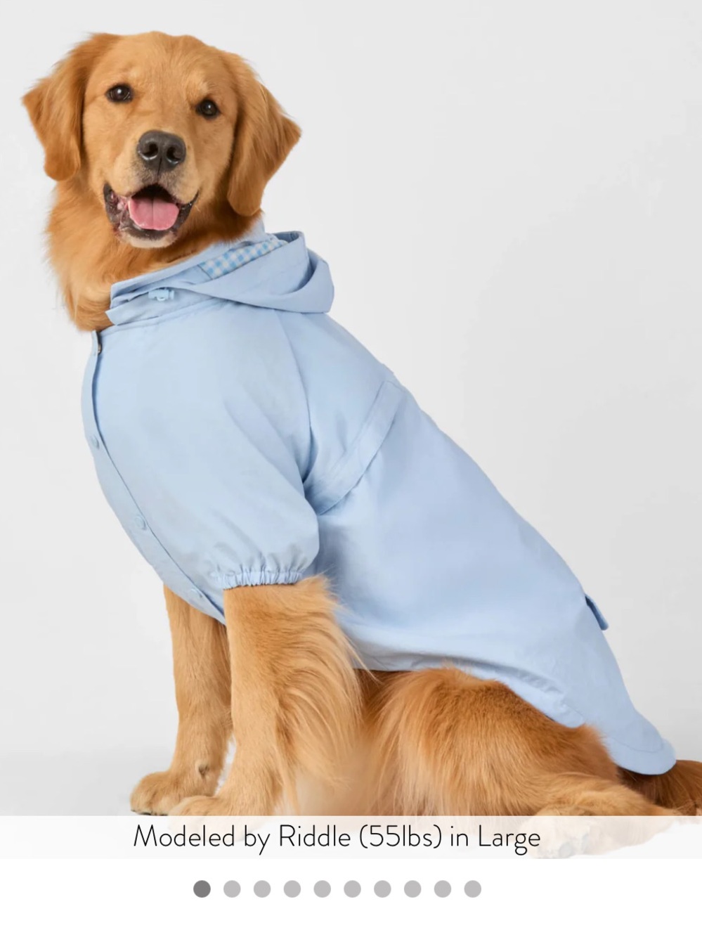 The Foggy Dog - Sky Blue Dog Raincoat XL - Picture 6 of 9